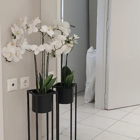 Apartamento Aphrodite Goddess *